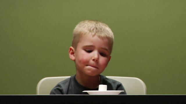 Marshmallow test: Teaching kids about delayed gratification to children